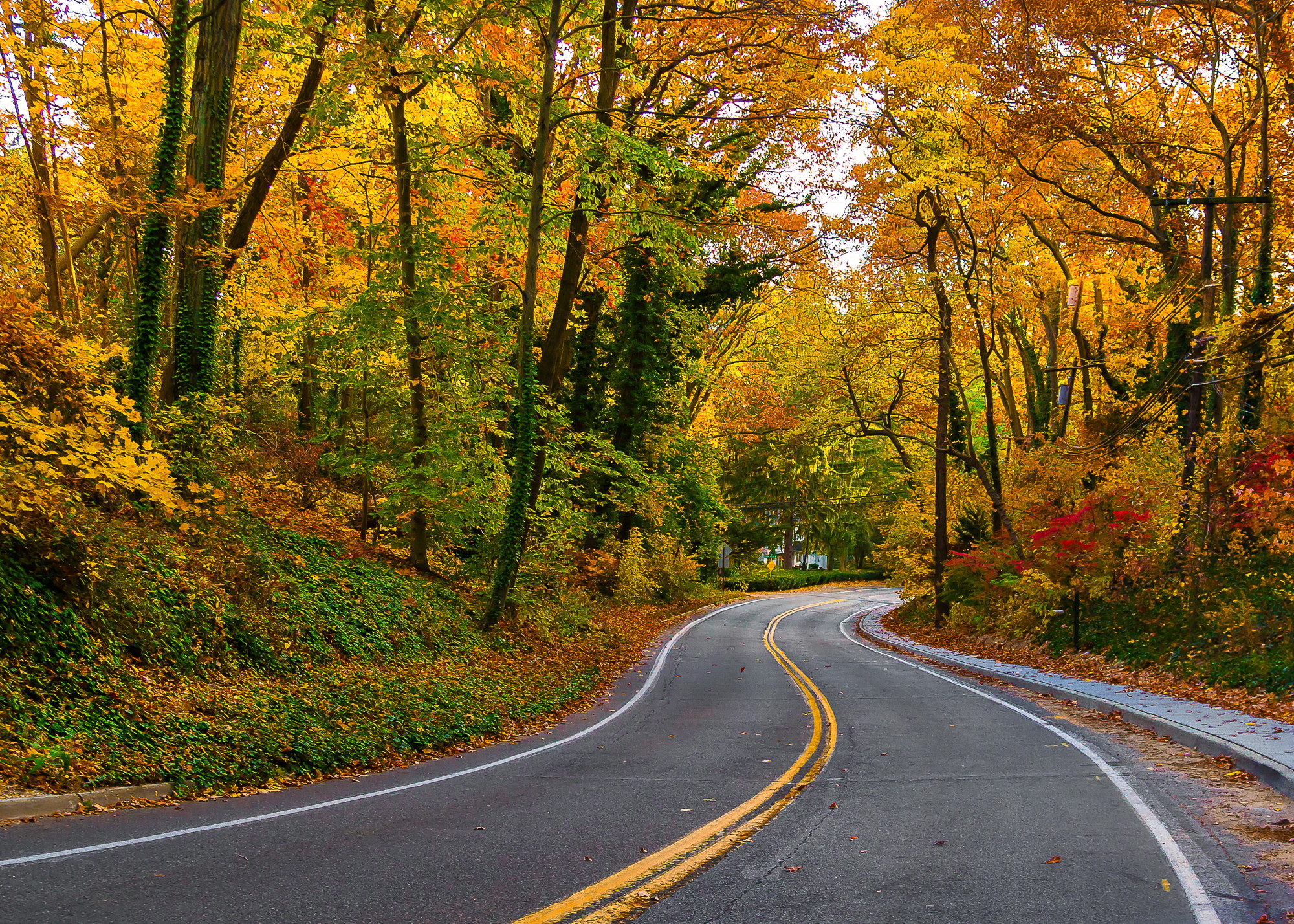 Gay Long Island Guide Gay Bars & Clubs, Hotels, Beaches, Reviews and Maps GayCities Long Island