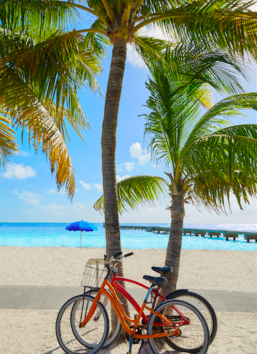 Vote for Higgs Beach