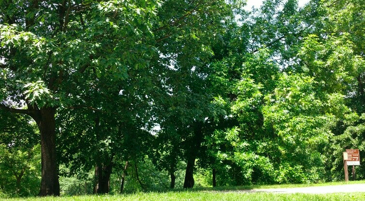 Vote for P Street Beach