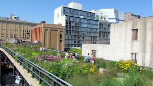 Vote for The High Line