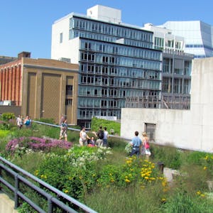 Vote for The High Line